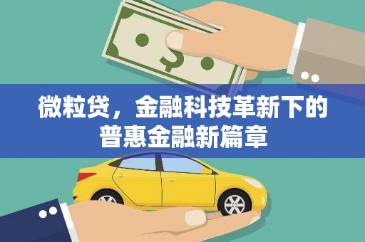 西畴微粒贷，金融科技革新下的普惠金融新篇章