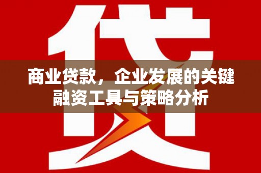 西畴商业贷款，企业发展的关键融资工具与策略分析