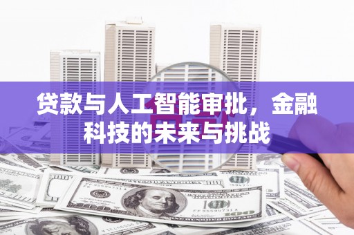 西畴贷款与人工智能审批，金融科技的未来与挑战