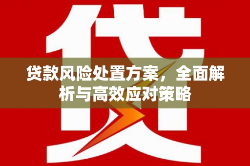 西畴贷款风险处置方案，全面解析与高效应对策略