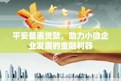 西畴平安普惠贷款，助力小微企业发展的金融利器