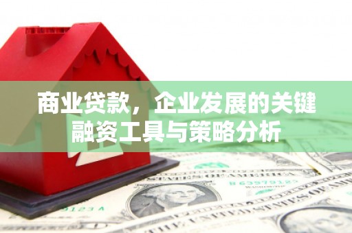西畴商业贷款，企业发展的关键融资工具与策略分析