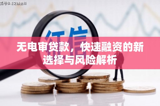 西畴无电审贷款，快速融资的新选择与风险解析