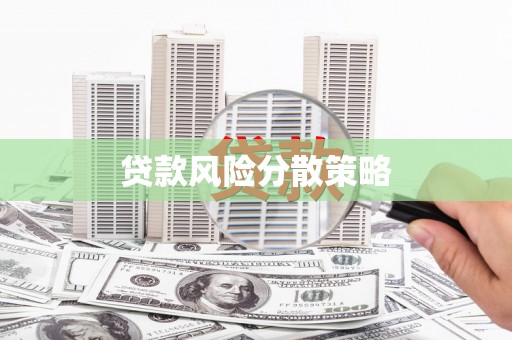 西畴贷款风险分散策略