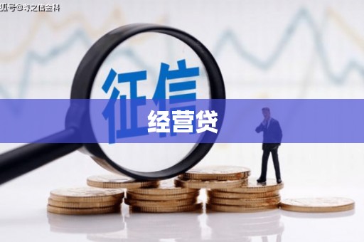 西畴经营贷