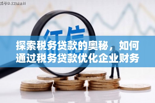 西畴探索税务贷款的奥秘，如何通过税务贷款优化企业财务
