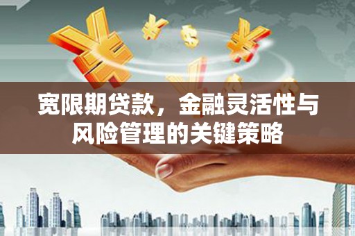西畴宽限期贷款，金融灵活性与风险管理的关键策略