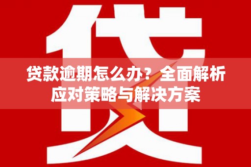 西畴贷款逾期怎么办？全面解析应对策略与解决方案