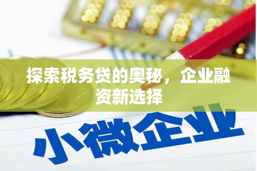 西畴探索税务贷的奥秘，企业融资新选择
