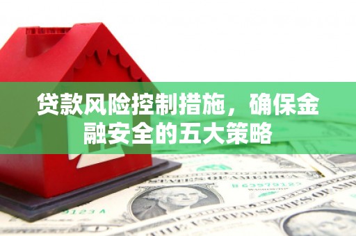 西畴贷款风险控制措施，确保金融安全的五大策略