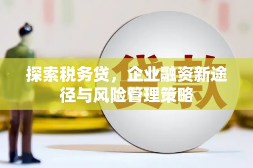 西畴探索税务贷，企业融资新途径与风险管理策略