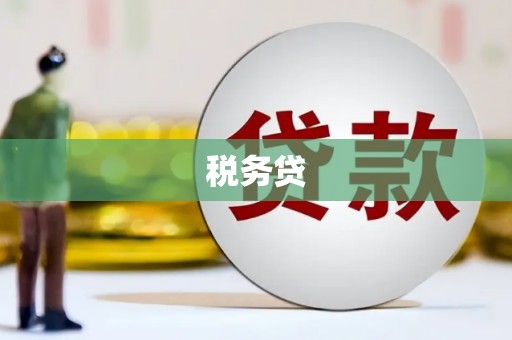 西畴税务贷