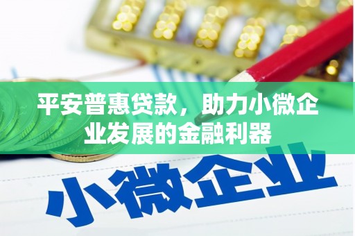 西畴平安普惠贷款，助力小微企业发展的金融利器