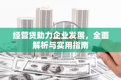 西畴经营贷助力企业发展，全面解析与实用指南