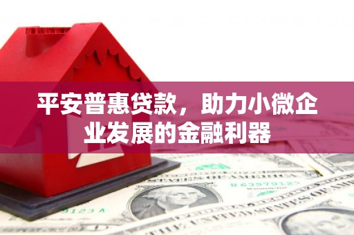 西畴平安普惠贷款，助力小微企业发展的金融利器