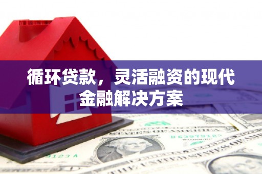 西畴循环贷款，灵活融资的现代金融解决方案