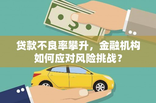 西畴贷款不良率攀升，金融机构如何应对风险挑战？