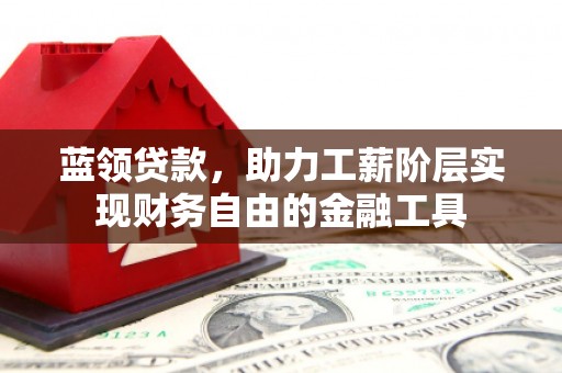 西畴蓝领贷款，助力工薪阶层实现财务自由的金融工具