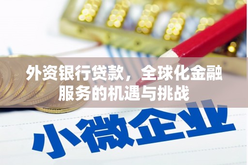 西畴外资银行贷款，全球化金融服务的机遇与挑战