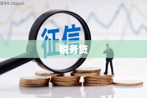 西畴税务贷