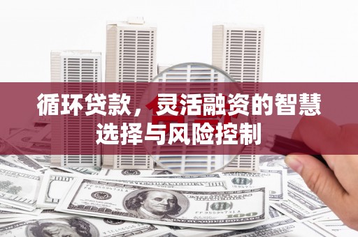 西畴循环贷款，灵活融资的智慧选择与风险控制