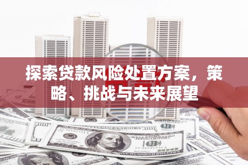 西畴探索贷款风险处置方案，策略、挑战与未来展望