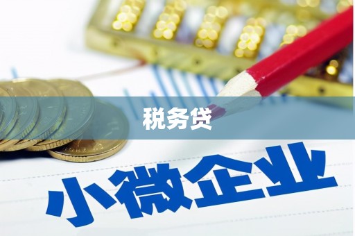 西畴税务贷