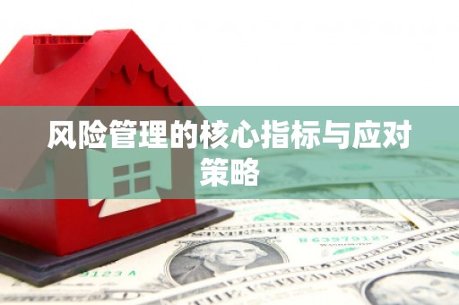 西畴风险管理的核心指标与应对策略