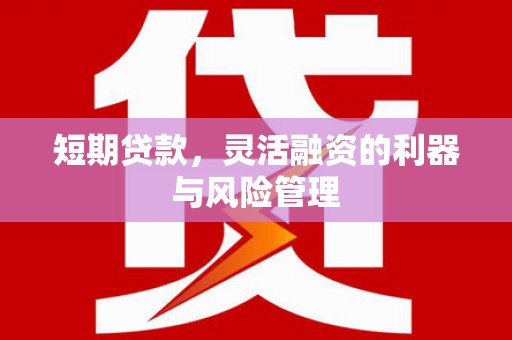 西畴短期贷款，灵活融资的利器与风险管理