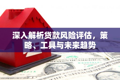 西畴深入解析贷款风险评估，策略、工具与未来趋势