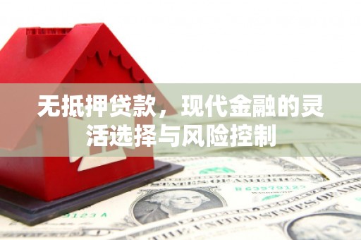 西畴无抵押贷款，现代金融的灵活选择与风险控制