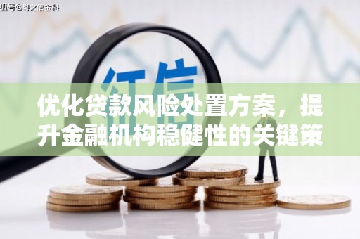西畴优化贷款风险处置方案，提升金融机构稳健性的关键策略