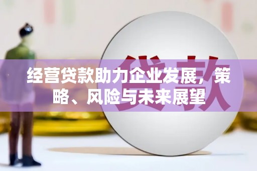 西畴经营贷款助力企业发展，策略、风险与未来展望