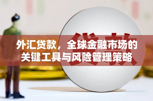 西畴外汇贷款，全球金融市场的关键工具与风险管理策略