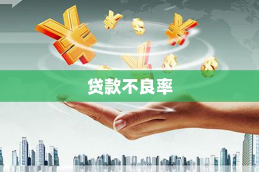 西畴贷款不良率