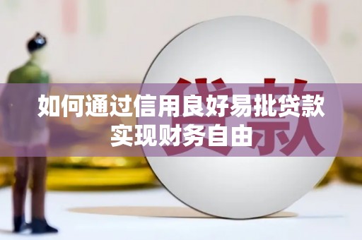 西畴如何通过信用良好易批贷款实现财务自由