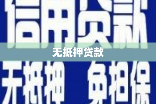 西畴无抵押贷款