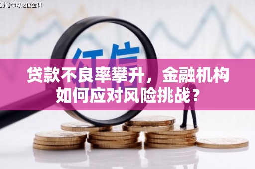 西畴贷款不良率攀升，金融机构如何应对风险挑战？
