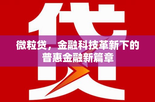 西畴微粒贷，金融科技革新下的普惠金融新篇章