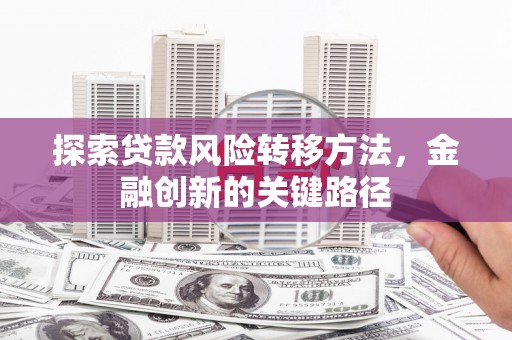 西畴探索贷款风险转移方法，金融创新的关键路径