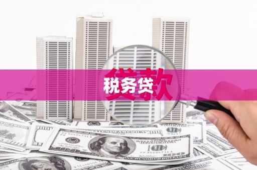 西畴税务贷