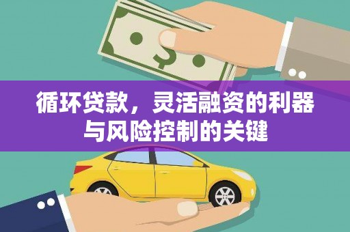 西畴循环贷款，灵活融资的利器与风险控制的关键