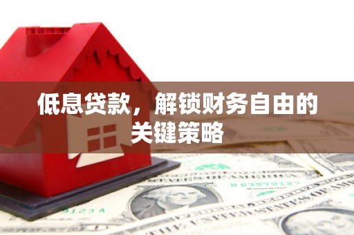 西畴低息贷款，解锁财务自由的关键策略