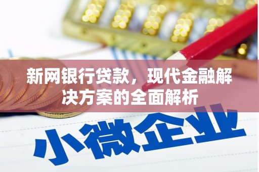 西畴新网银行贷款，现代金融解决方案的全面解析