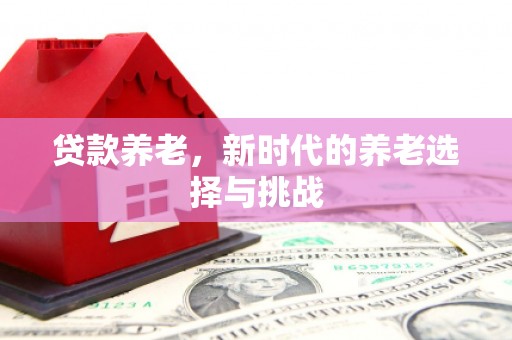 西畴贷款养老，新时代的养老选择与挑战