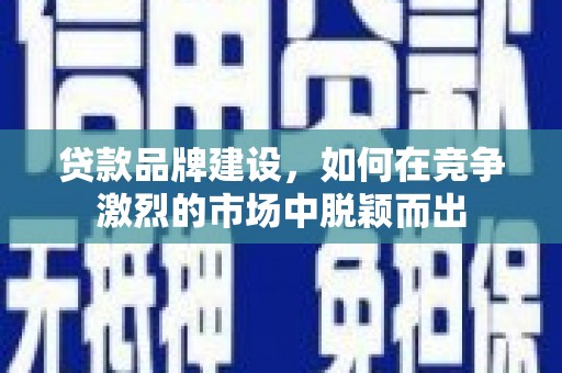西畴贷款品牌建设，如何在竞争激烈的市场中脱颖而出