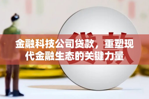西畴金融科技公司贷款，重塑现代金融生态的关键力量