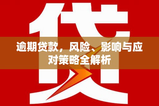 西畴逾期贷款，风险、影响与应对策略全解析