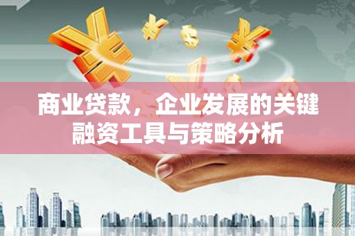 西畴商业贷款，企业发展的关键融资工具与策略分析