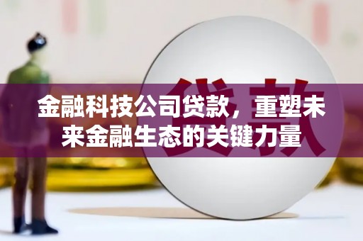 西畴金融科技公司贷款，重塑未来金融生态的关键力量